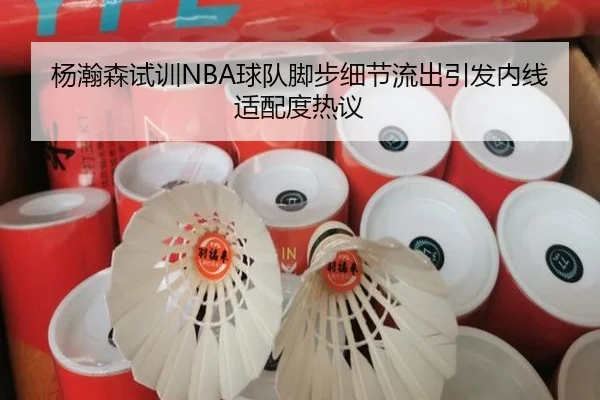 杨瀚森试训NBA球队脚步细节流出引发内线适配度热议