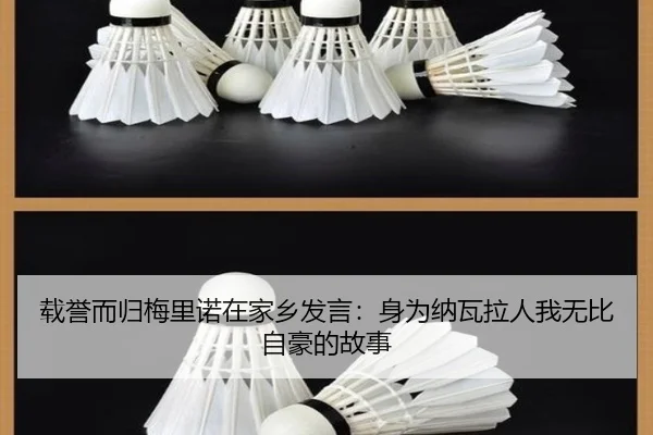 载誉而归梅里诺在家乡发言：身为纳瓦拉人我无比自豪的故事