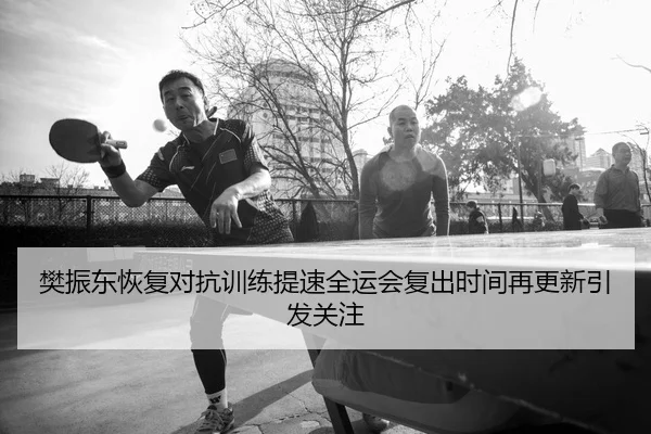 樊振东恢复对抗训练提速全运会复出时间再更新引发关注